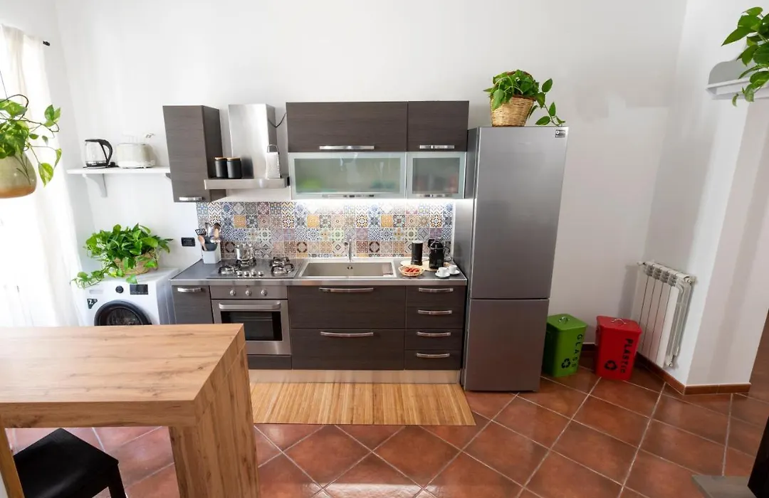 Pothos House-1